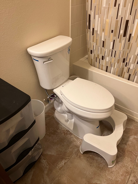 Toilet Install
