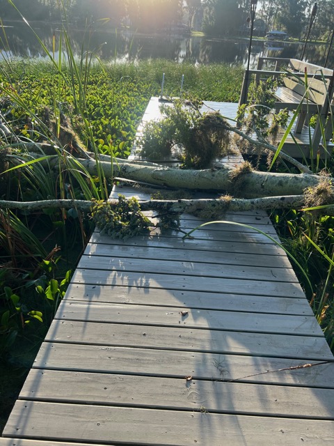 Tree And Deck Repair Before