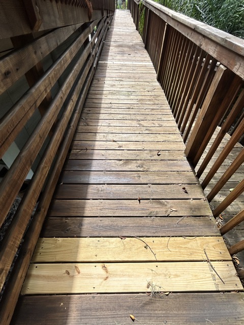 Deck Repair After