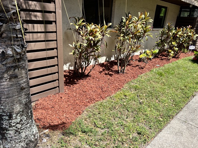 Mulch After
